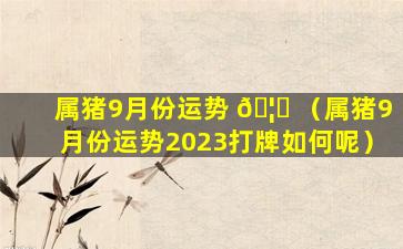 属猪9月份运势 🦄 （属猪9月份运势2023打牌如何呢）